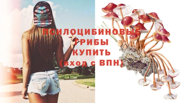 прущие крисы Семикаракорск