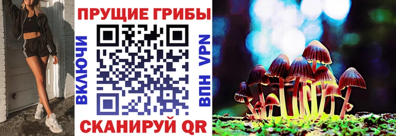 Псилоцибиновые грибы мухоморы  Купить где  Волжский