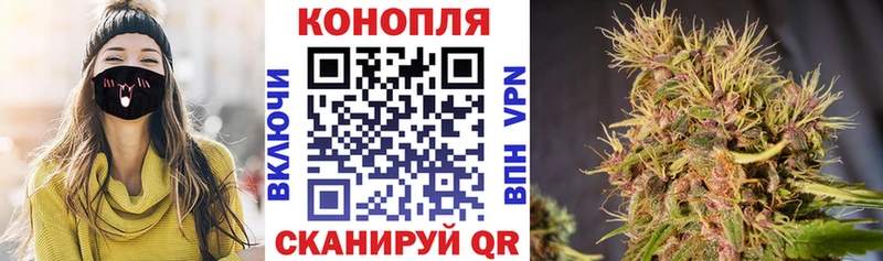 Канабис тримм Купить где Волжский